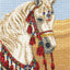 Набор для вышивки крестом Якорь - Арабская лошадь