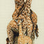 Set de brodat în cruciuliță Anchor - Familia de girafe