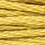 Stranded Cotton Luca-S - 323 / DMC 834 / Anchor 945 Stranded Cotton - HobbyJobby