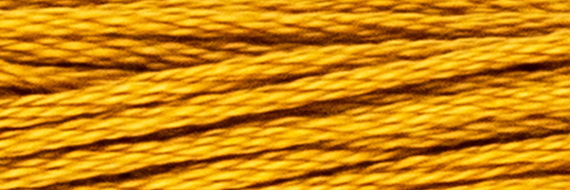 Stranded Cotton Luca-S - 349 / DMC 782 / Anchor 308 Stranded Cotton - HobbyJobby